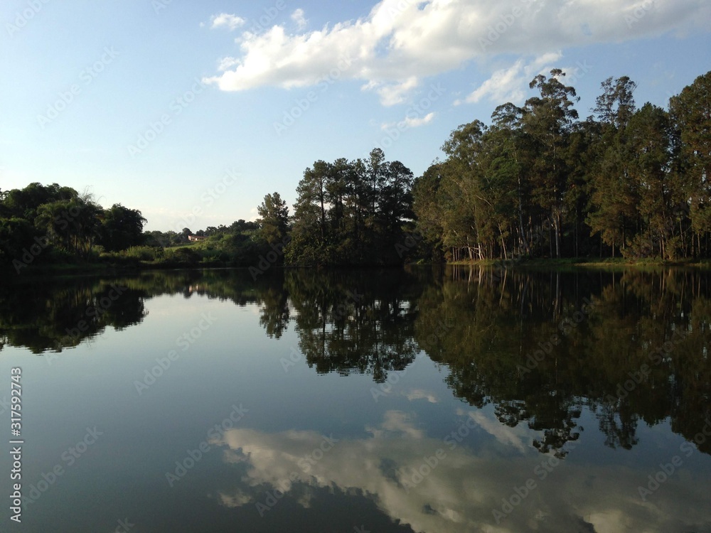 Fototapeta premium reflection of trees in water