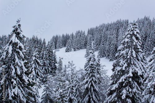 beautiful white winter snow forest apls ski resort mountain europe sports travel