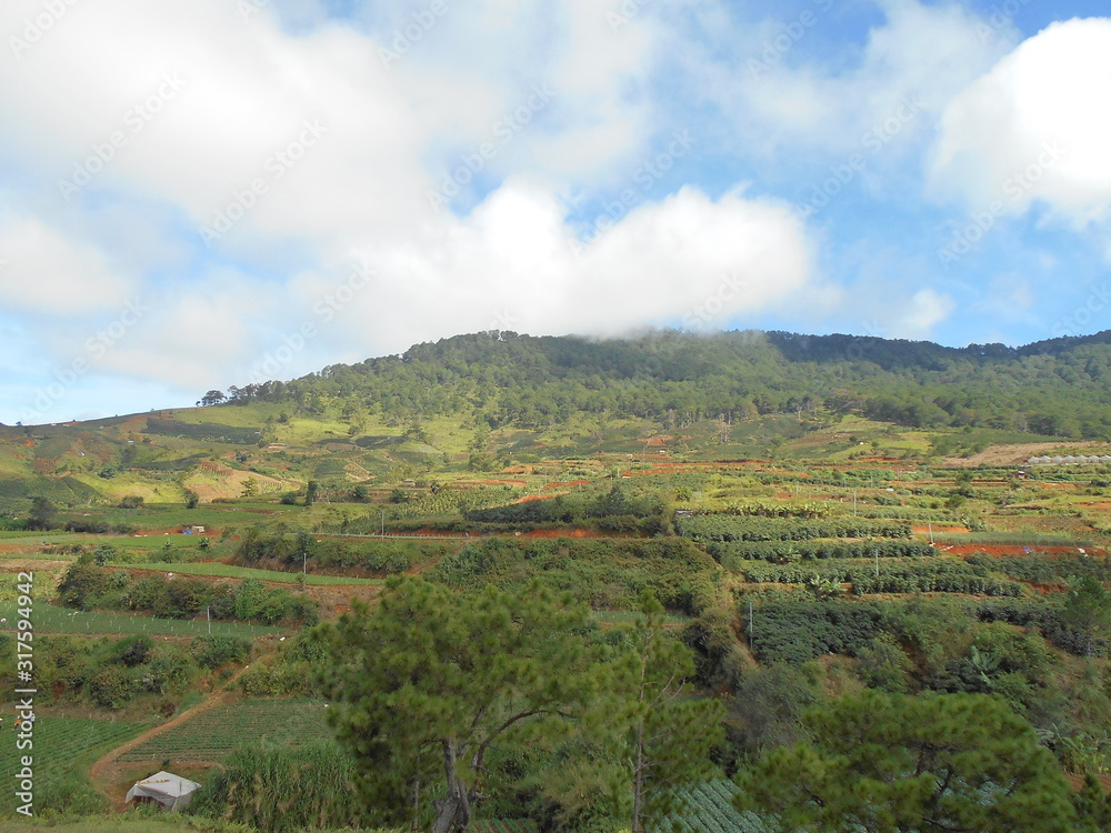 landscape in the mountains