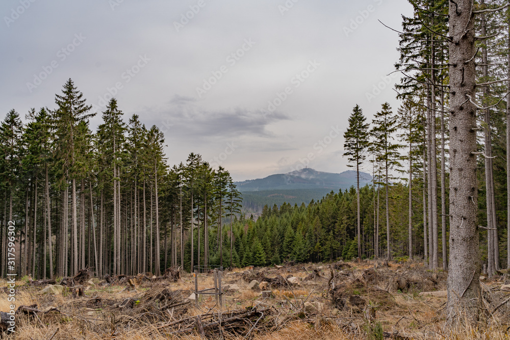 Aussicht auf den Harz Aussicht auf den Harz