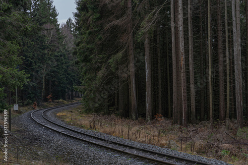 Eisenbahnschienen im Wald 2