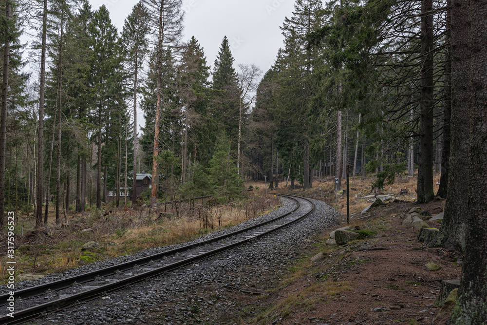 Obraz premium Wald und Schienen im Harz