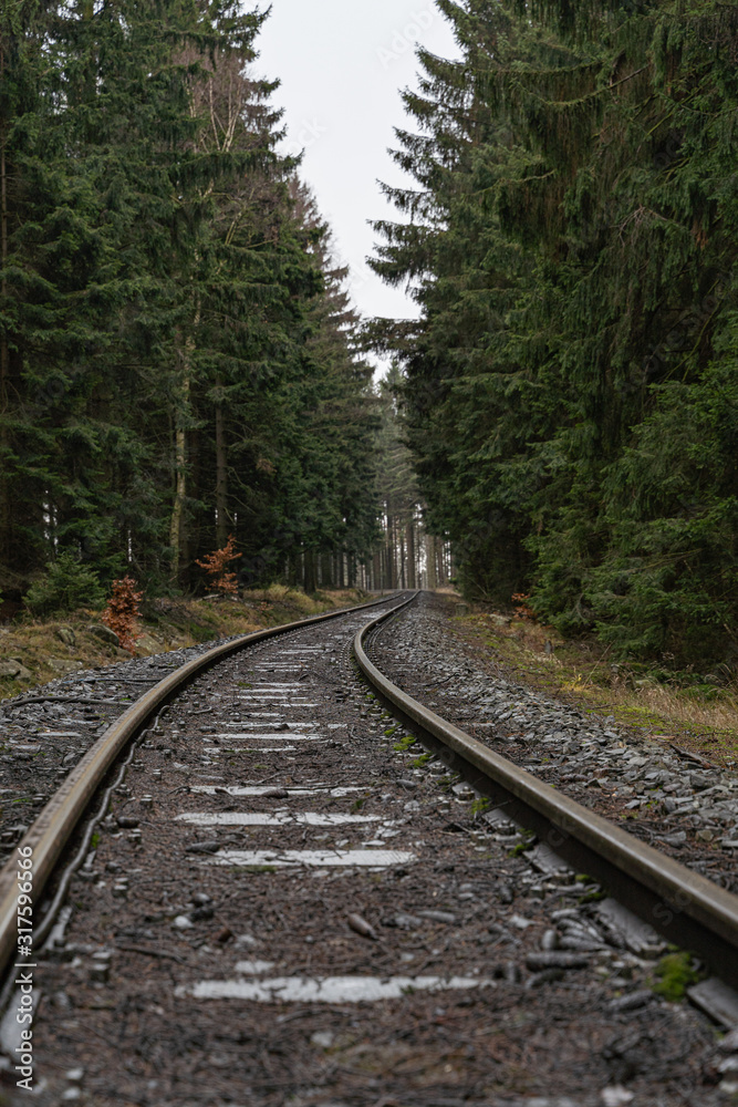 Eisenbahnschienen im Harz