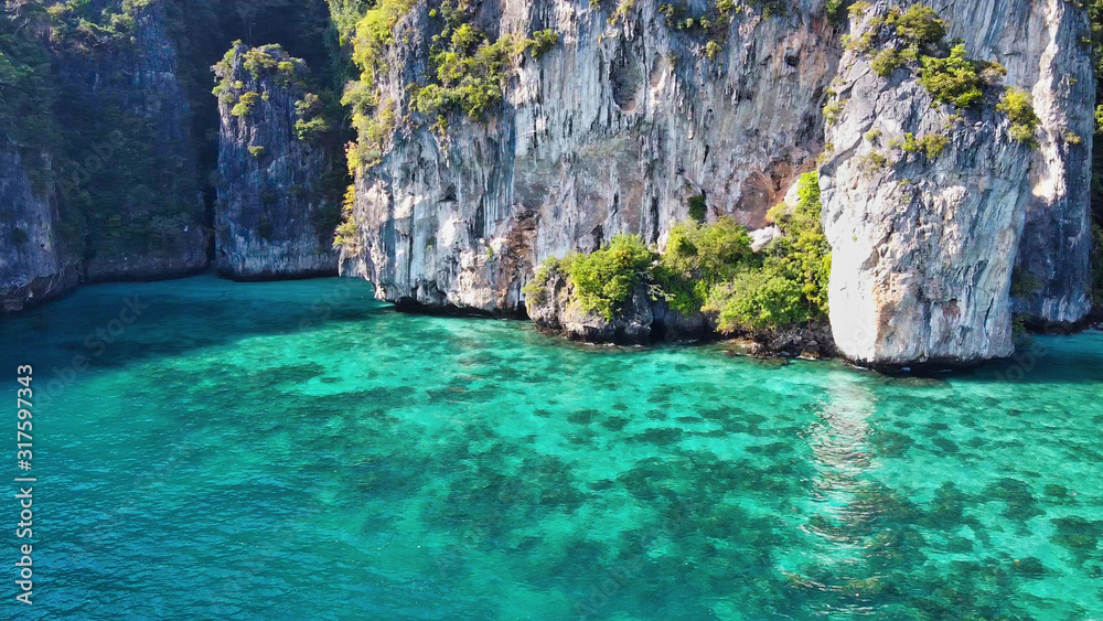 Amazing coastline with coral reef and trees over rocks