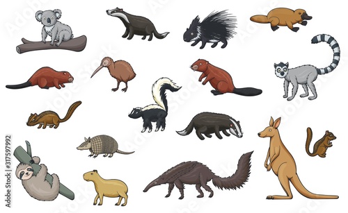 Fototapeta Naklejka Na Ścianę i Meble -  Wild animal cartoon icons of zoo and wildlife