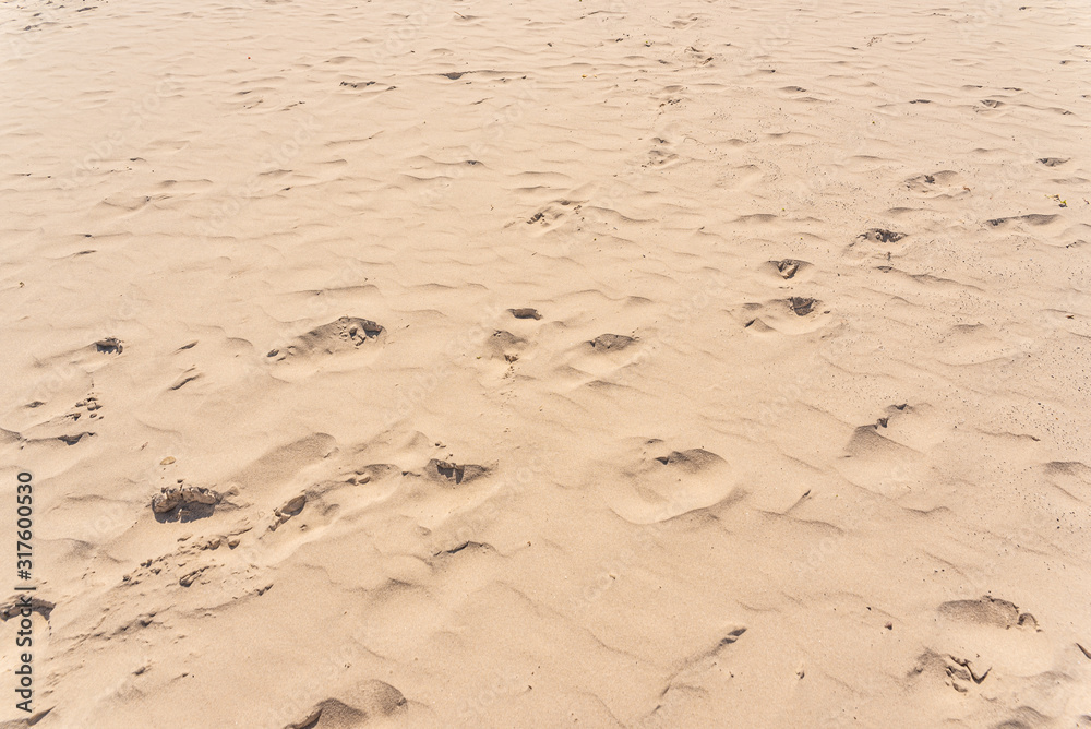 Footsteps in the sand on a beach. Footsteps in the sand on a beach.