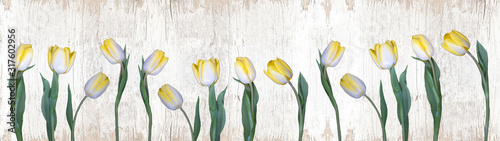wiosenna-panorama-z-kwiatow-tulipana