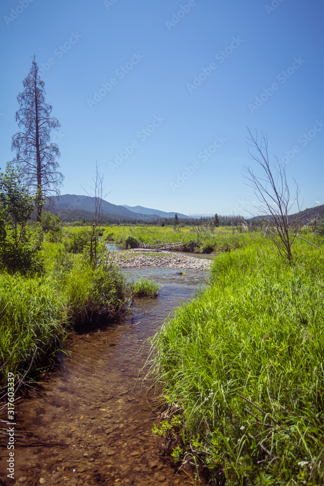 Stream flowing through a meadow Rocky Mountain National Park, forested mountains in distance Stream flowing through a meadow Rocky Mountain National Park, forested mountains in distance