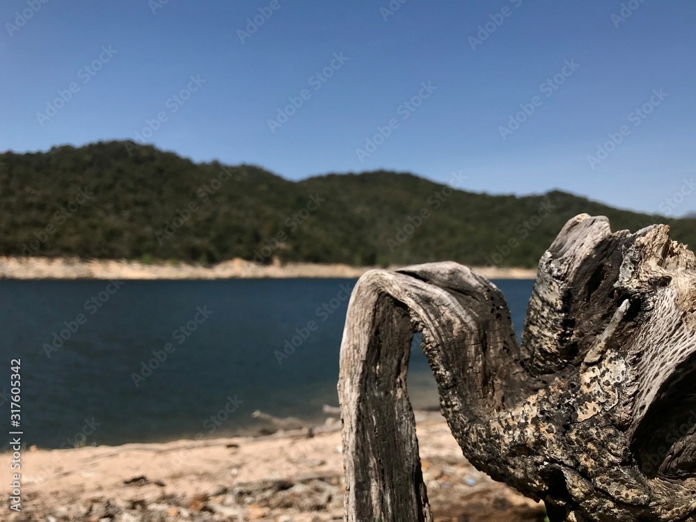 Fototapeta premium Naturaleza