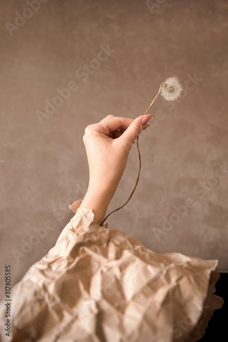 a woman's hand holds a dandelion