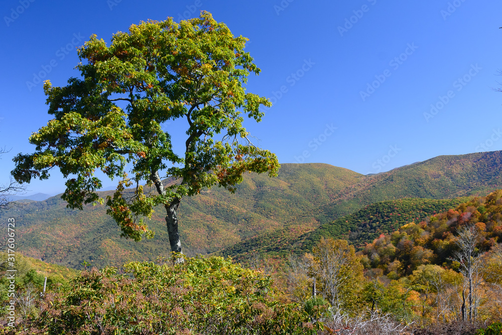 Autumn in the Appalachian Mountains Viewed Along the Blue Ridge Parkway