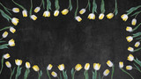 Spring background - Frame made of yellow white tulips isolated on black concrete stone texture, top view with space for text