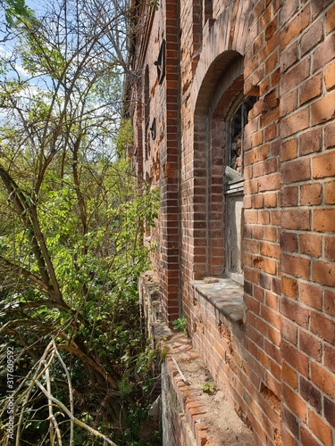 Verlassenes Gebäude mitten in der Stadt Natur erobert das Gebäude Umwelt photo