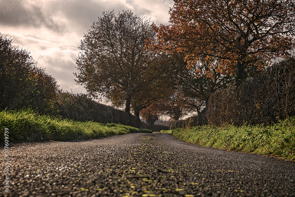 Naklejka premium A serene autumnal countryside path leading into the distance.