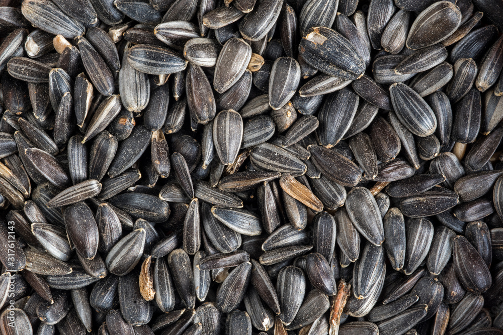 Close-up of black oil sunflower seeds in hulls as winter bird food for garden birds Close-up of black oil sunflower seeds in hulls as winter bird food for garden birds