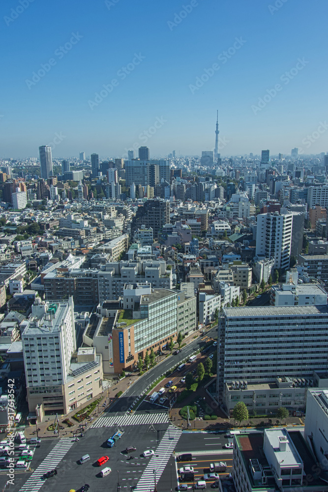 Fototapeta premium 東京