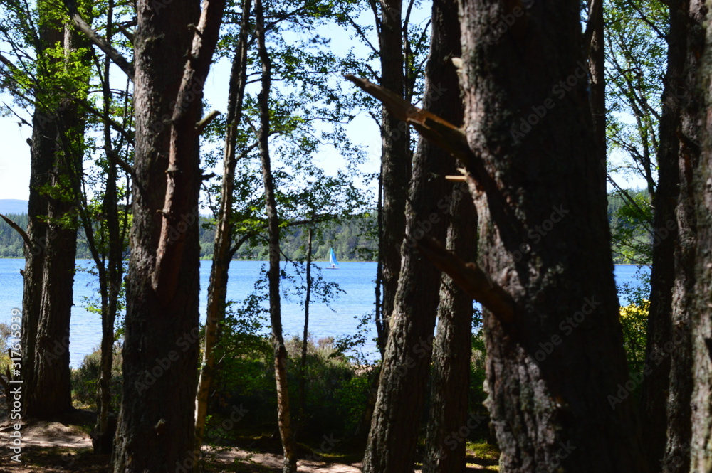 Fototapeta premium Loch Morlich and Aviemore