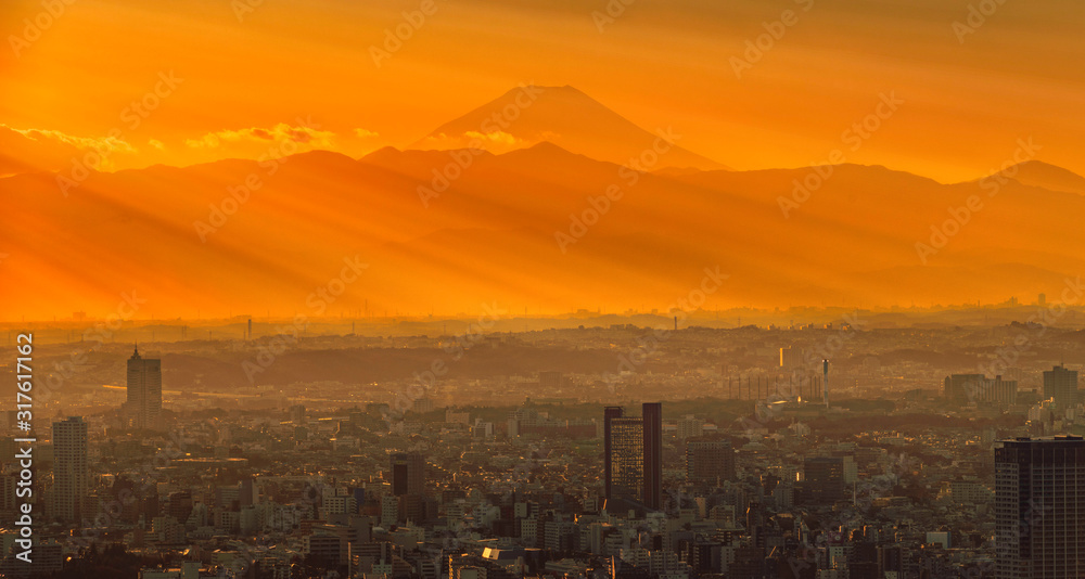 Fototapeta premium 東京夕景