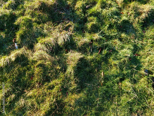 lumpy grass texture green and brown