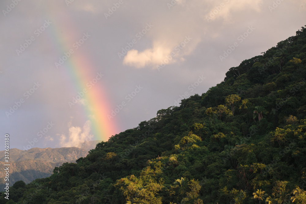 Rainbow over Rainforest