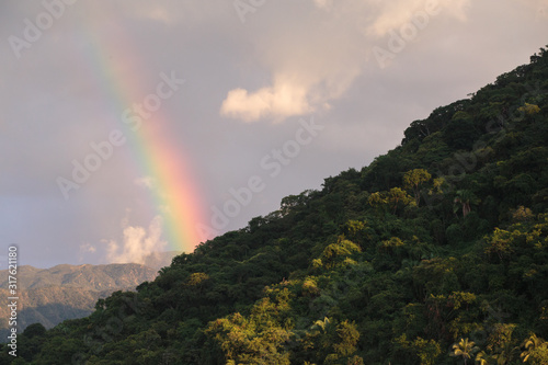 Rainbow over Rainforest