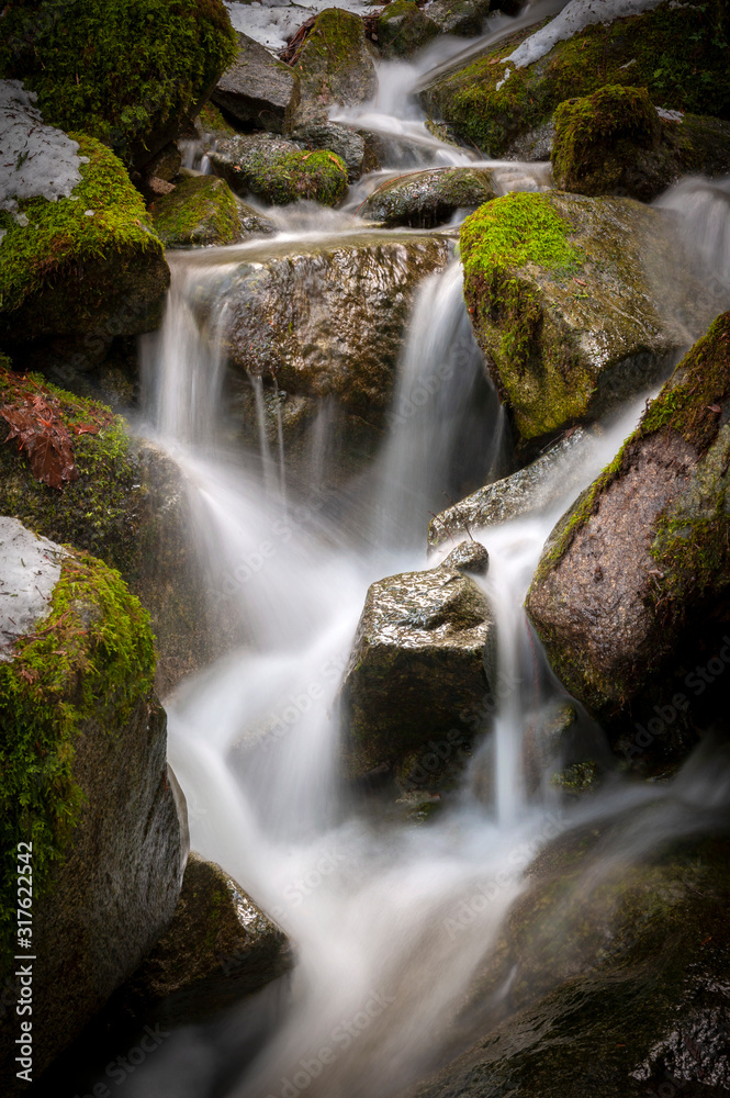 Rainforest Creek in the Winter. Water cascading down the side of a mountain in a rain forest environment. A long exposure makes the water appear silky and adds to the motion effect. Rainforest Creek in the Winter. Water cascading down the side of a mountain in a rain forest environment. A long exposure makes the water appear silky and adds to the motion effect.