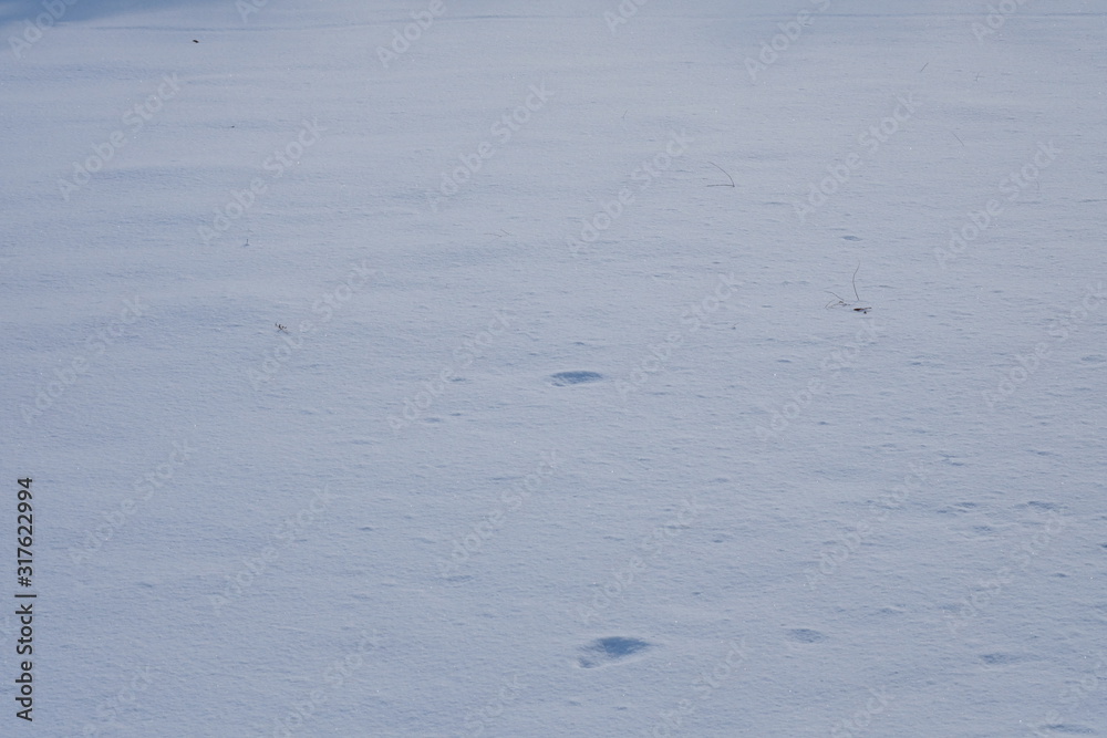 雪に覆われた大地 雪に覆われた大地
