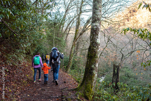Hiking the Great Smoky Mountains