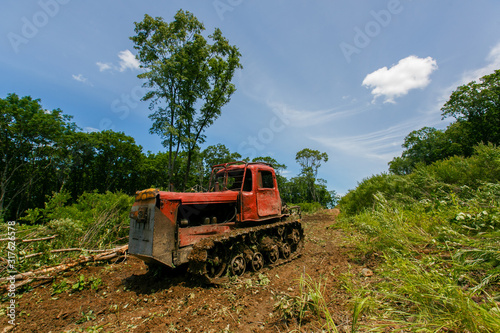Deforestation for the construction of a casino. A red bulldozer clears a building site from felled trees.