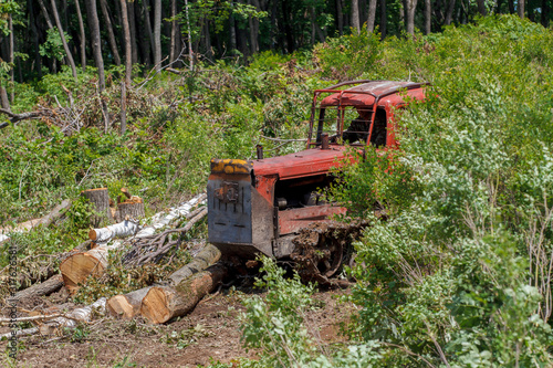 Deforestation for the construction of a casino. A red bulldozer clears a building site from felled trees.