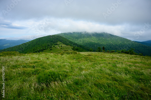 Fog Rolls in over Grassy ridge Bald with trail