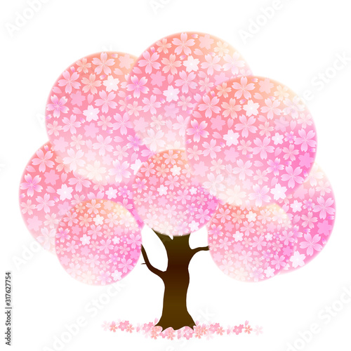 桜　春　花　アイコン