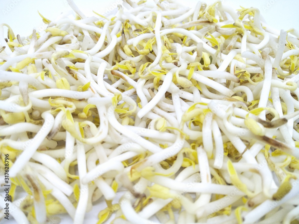 Hand hold fresh Bean kecambah sprout or tauge or toge or taoge from mung beans. Common in Eastern Asian cuisine, made from sprouting beans. Deep of field pile of bean sprouts pattern isolated white Hand hold fresh Bean kecambah sprout or tauge or toge or taoge from mung beans. Common in Eastern Asian cuisine, made from sprouting beans. Deep of field pile of bean sprouts pattern isolated white