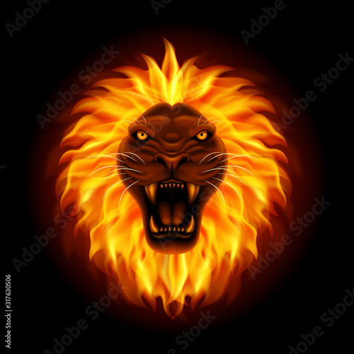 Fire lion head isolated on black background