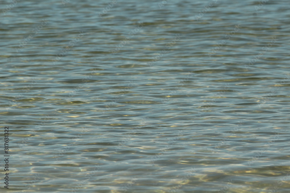 ripples on surface of water