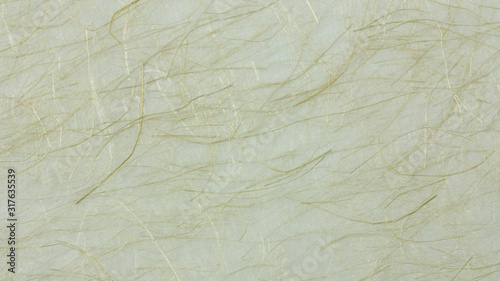 和紙のテクスチャー素材