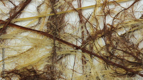 和紙のテクスチャー素材