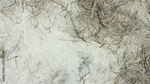 和紙のテクスチャー素材