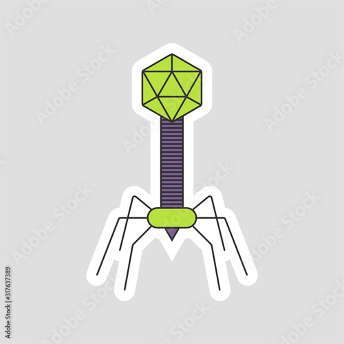 Bacteriophage