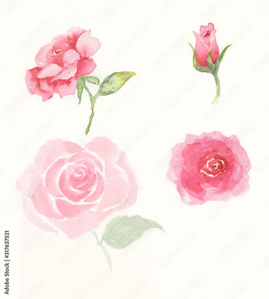 4 rose graphic elements 