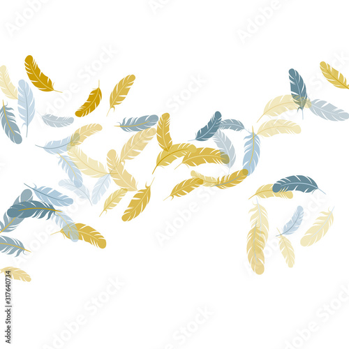 Detailed majestic feather on white design.