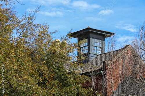 An old brick building with a glass cupola and a slate tile roof. Several terracotta chimney pipes are visible through the tree tops. © Jen Wolf