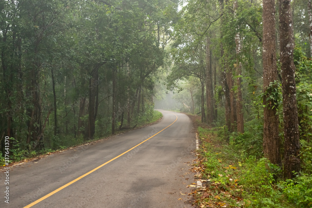 Fototapeta premium foggy rural asphalt highway perspective with white line, misty road, Road with traffic and heavy fog, bad weather driving.