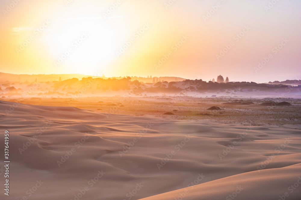 Desert landscape. Bright orange sunrise. Woods on the horison. Stockton Sand Dunes near the coast, Worimi Regional Park, Anna Bay, Australia Desert landscape. Bright orange sunrise. Woods on the horison. Stockton Sand Dunes near the coast, Worimi Regional Park, Anna Bay, Australia