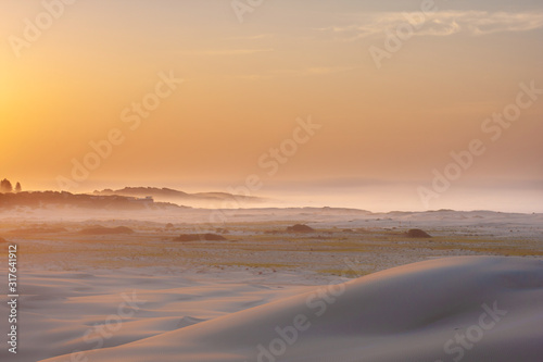 Soft desert landscape, a stripe of woods and fog on horison. Sunrise. Contrast of warm colors of sky and cold sand. Stockton Sand Dunes near the coast, Worimi Regional Park, Anna Bay, Australia