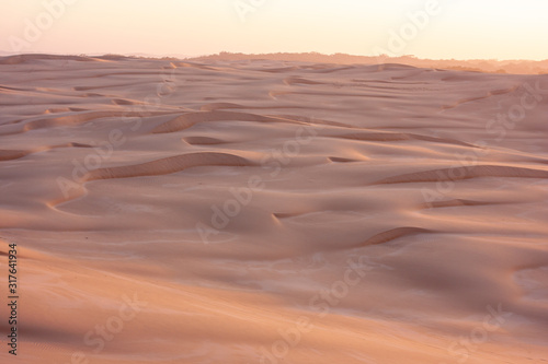 The emptiness of desert during sunrise. Waves of yellow warm sand. Stockton Sand Dunes near the coast  Worimi Regional Park  Anna Bay  Australia