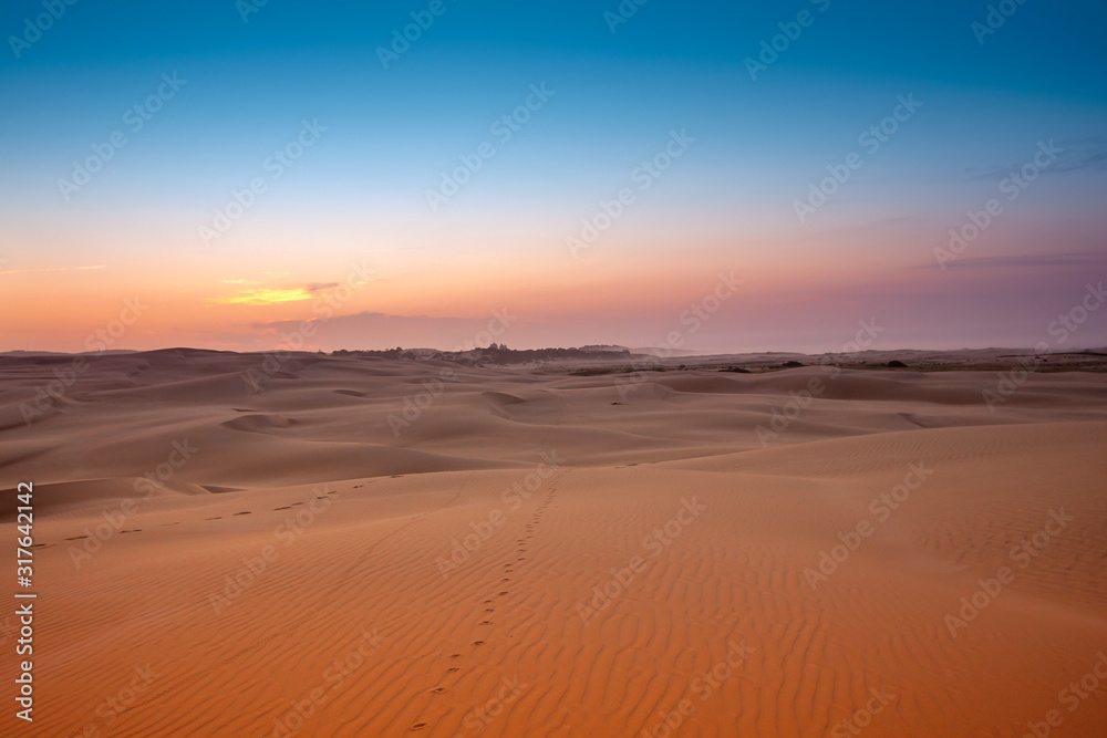 Bright desert landscape. Orange sand, a dark sunset blue sky and a pink strip of sunset on the horizon. A chain of traces stretches to the horizon. Stockton Sand Dunes, Anna Bay, Australia Bright desert landscape. Orange sand, a dark sunset blue sky and a pink strip of sunset on the horizon. A chain of traces stretches to the horizon. Stockton Sand Dunes, Anna Bay, Australia