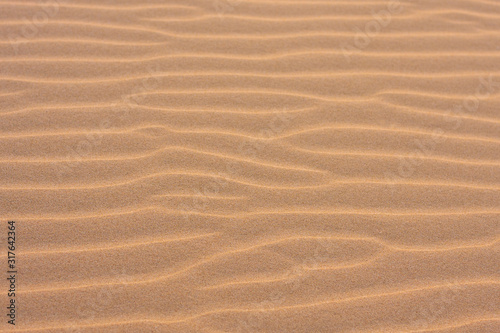 Texture, the surface of a sand dune of a pink shade, covered with small ripples of the waves going vertically. Stockton Sand Dunes near the coast, Worimi Regional Park, Anna Bay, Australia