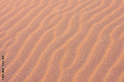 Texture, the surface of a sand dune of a pink shade, covered with small ripples of the waves going diagonally. Stockton Sand Dunes near the coast, Worimi Regional Park, Anna Bay, Australia. Closeup. © Ksenia