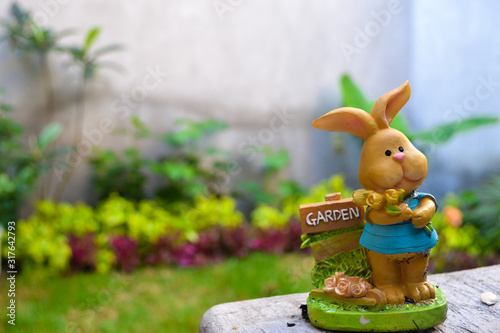 rabbit garden